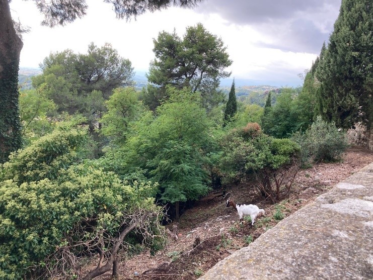 Dins la vila vielha de Besièrs