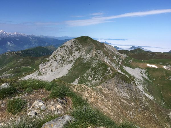 Rondalejada en montanha